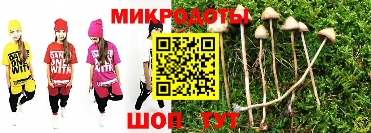 Клинцы  Галлюциногенные грибы ЛСД  Вход с VPN 